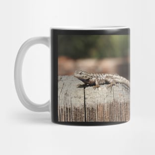 Lizard, Western Fence Lizard, Reptiles, Wildlife, Reptilian, Gifts Mug